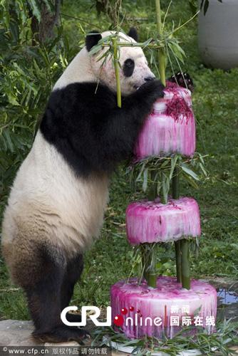 ����è"����""����"����������������չ�����о�