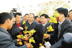 �����������󹲶���ʹ���