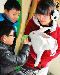 С������������ιС���óԲ�