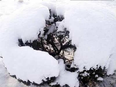 �˹���ѩ������Ϊʲô��֪����