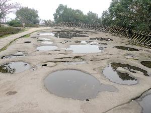 ������������������Ž��꽫��������������