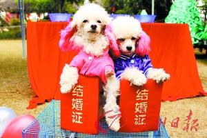 ���Ĵ���