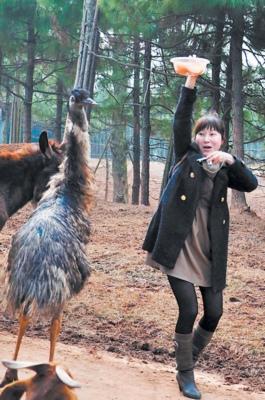 ���͵ĸ�������