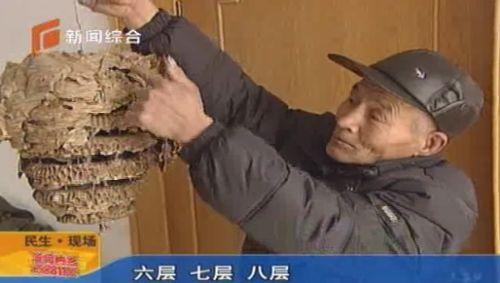 ¹Ȫ�����֡����������ѡ��ء�8��С¥��