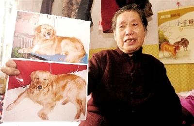 һ��Ӽ��ô��¸绪������