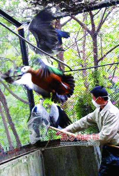 ������̤�����ȥ