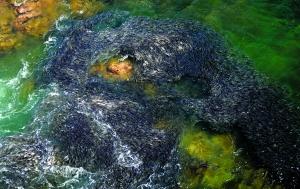 ī���纣����Ⱥ�ۼ�