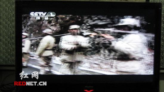 ��315ϵ�б�����ʮ������Һ�����ӡ���β������