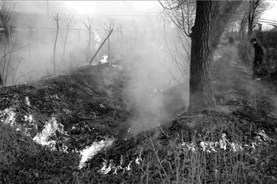 �߼������������