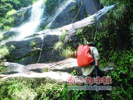 ��ݸ��������15������ռ����