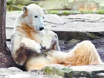 �¹����Ǳ�����"��Ŭ��"���600���ο�ֱ��