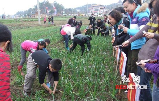 һ����Сȥ����ũ�������ֲ˰β�¦�׿�չȤζũ�¾���