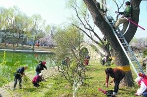 ��ѿ����