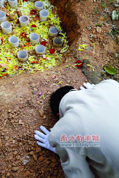 树葬海葬 同样念亲