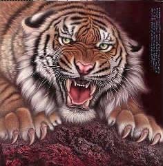 �ʹ���Ȼһ��Ÿ�