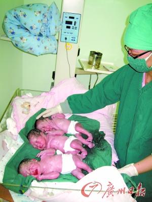 39�������򵮵���Ů������̥��