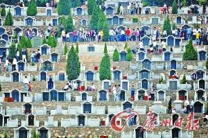 ��̼�����ʱ���ʻ�����������