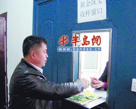 �鱦�ʼ�ʦ�������Щ������������ʯ��ٻ�