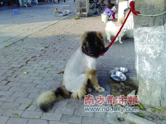 ���մ�ս