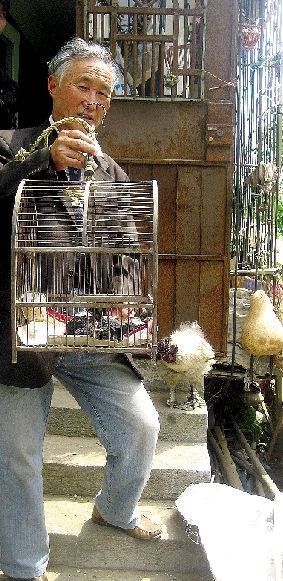 �Ҹ���ͥ���˿ڡ�34