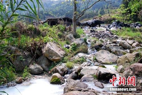 福建福安塑料米厂藏身山中 下游农田减产改种