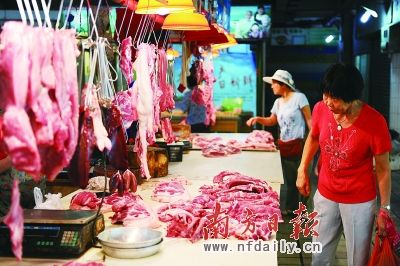 ��������������100%