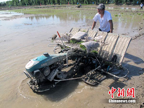 �½�ũ����С��л�ˮ�������������조��Ǩ�ڡ�