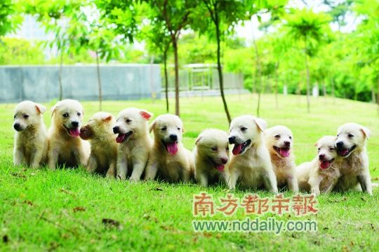 <em>我的兄弟姐妹12</em>_我的兄弟姐妹_我的兄弟姐妹