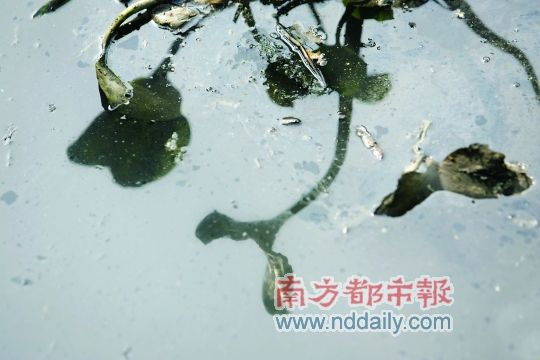 ��������4��é�޺Ӳ�ʹ����