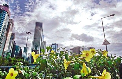 热带低气压海马迫近香港 料将有两日风雨