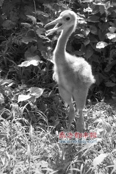 ���˹��ھ���������