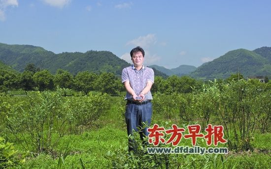 中国村支书·上下文村:身插化疗管带领村民种蓝莓
