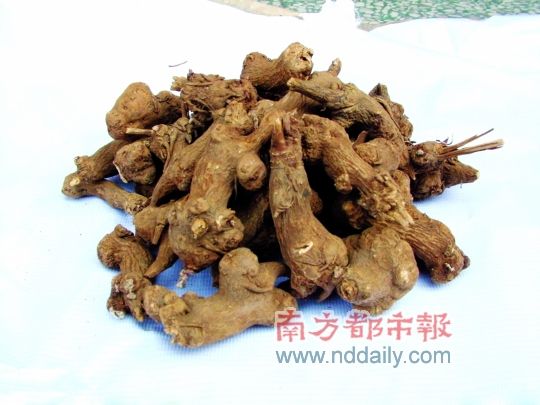 �Ұ�MADEINCHINA