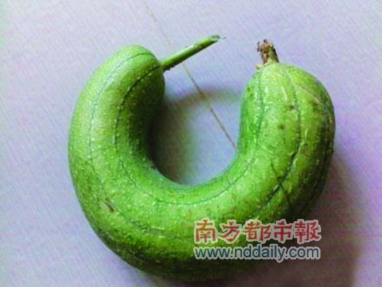 ���ֻ��ֵ�UU