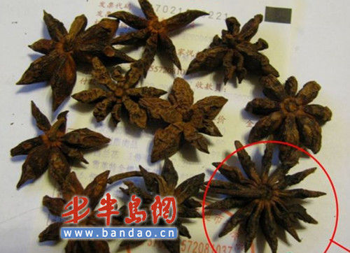 八角长出十二个角 业内称可能掺假挑选要留意_新闻中心_新浪网