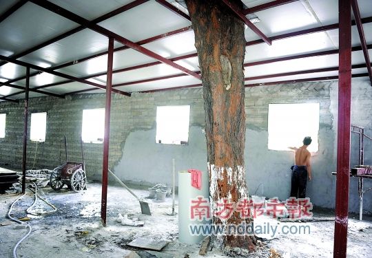 �ַ����ֵ���Υ���ֵ�����ʱ������