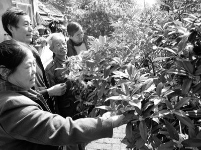 ��ŭ��ӭ����