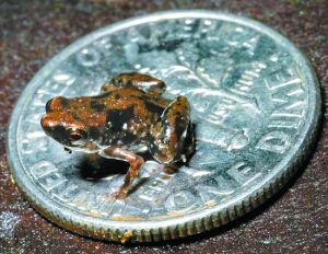 ������С�����峤7.7����