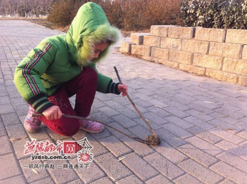 ʯ��ׯ̫ƽ�ӽ���ֻ��������조ɹ̫������