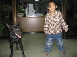 台一男童离家找妈妈 忠犬小黑一路跟随