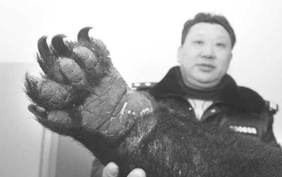 ������10����������