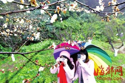 市民去福州鼓山