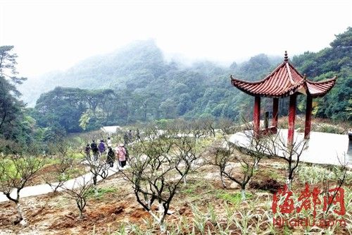鼓山梅里景区试开园