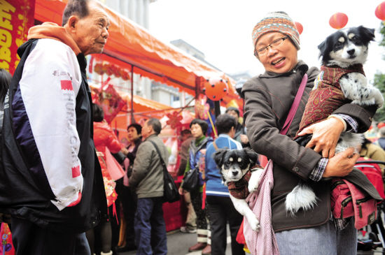 �����š��뷢�λ���