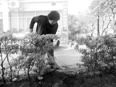 ��ֽ������¼��Ȱ�ھ�