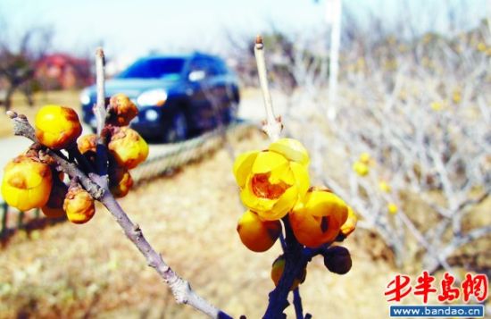 ʮ÷��÷԰����÷�������ΰ��º����ʢ����