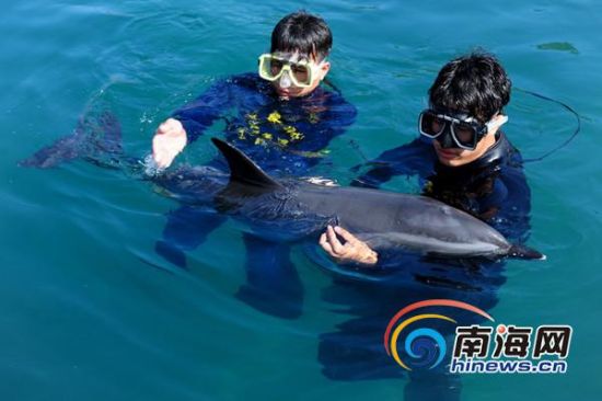 海南省水生野生动物救护中心特别设立的一个救护基地