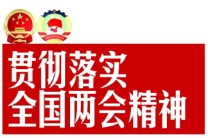 张德江:切实把两会精神落到实处