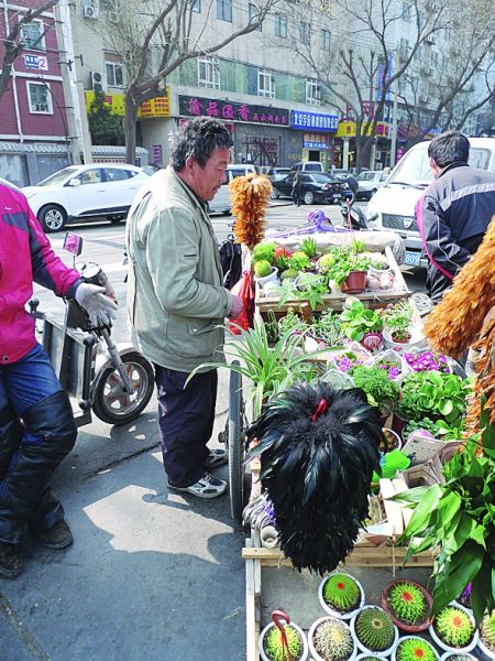 大家都叫他仙人掌大叔