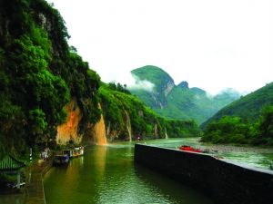 ʳ������